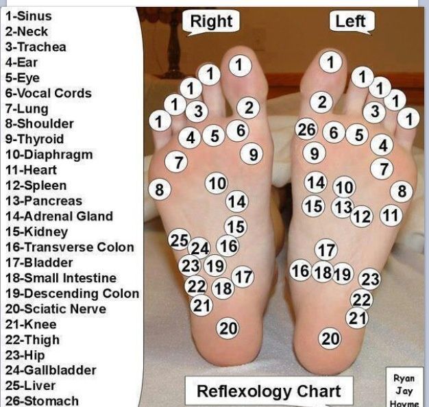 Image result for What part of the foot control sciatic nerves ...